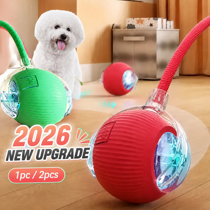 Automatic Rolling Dog Ball Launcher - Interactive Smart Toy