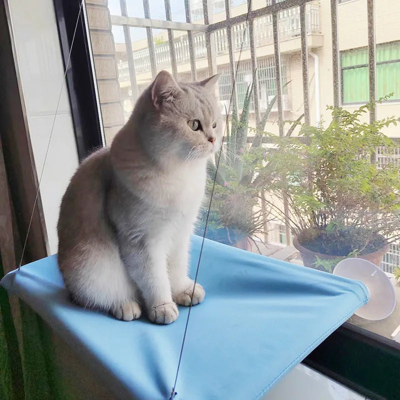 Hanging Cat Hammock - Window Seat Bed for Cats