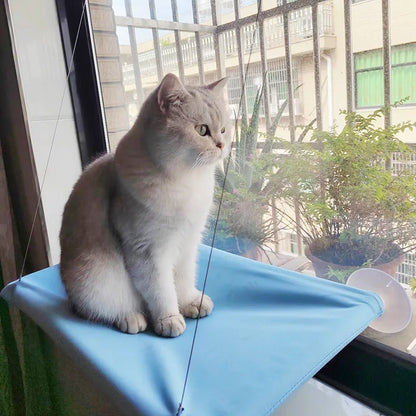 Hanging Cat Hammock - Window Seat Bed for Cats