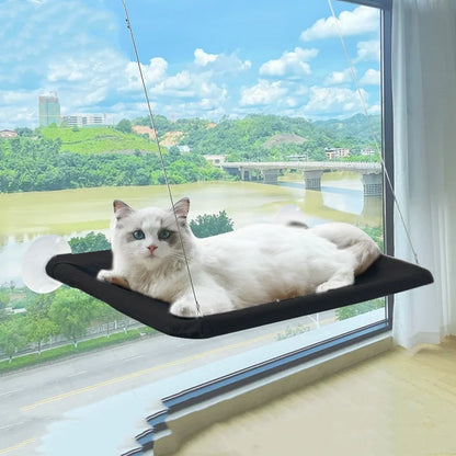 Hanging Cat Hammock - Window Seat Bed for Cats