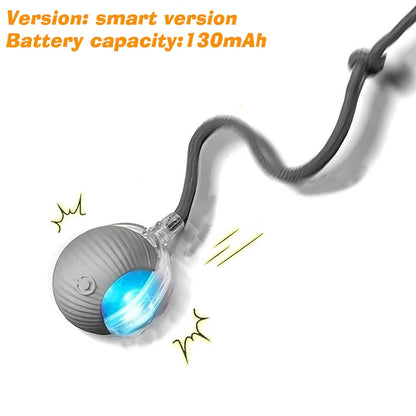 Automatic Rolling Dog Ball Launcher - Interactive Smart Toy