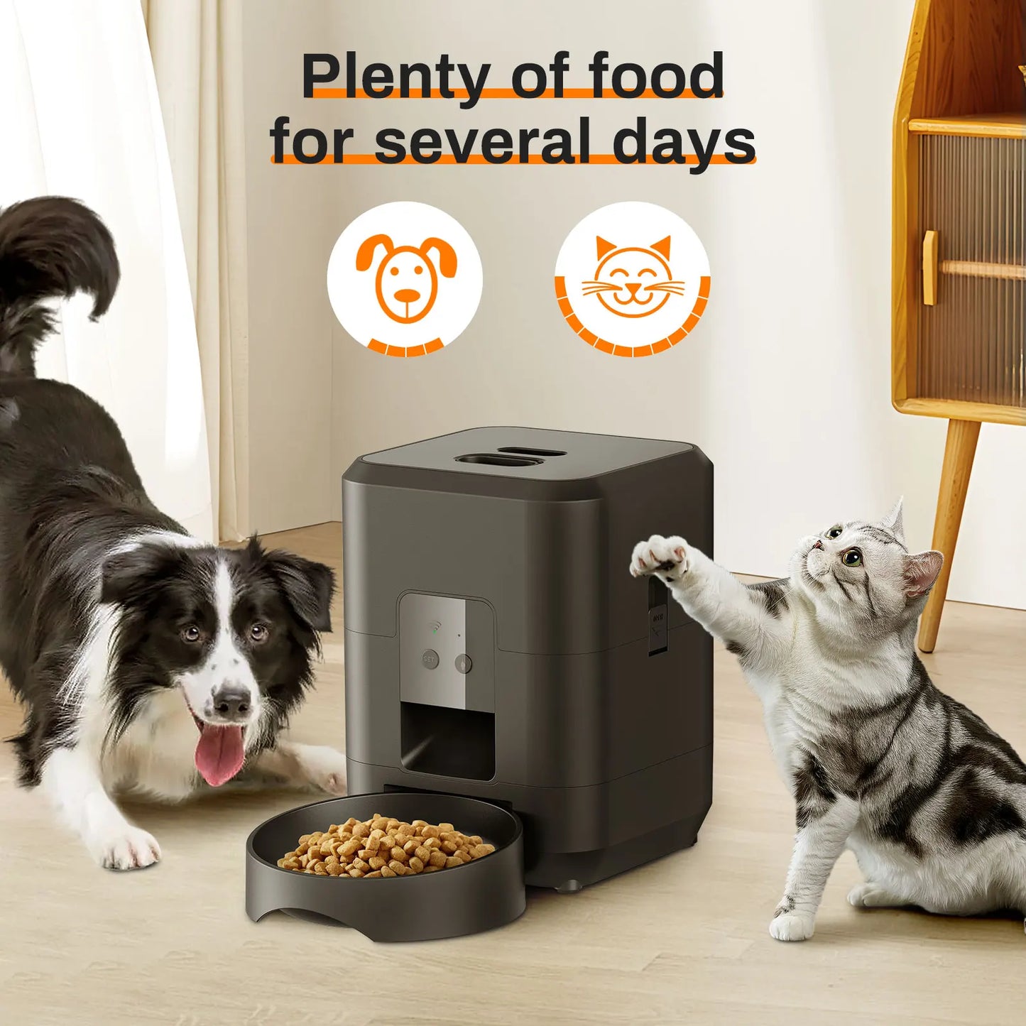 Smart Automatic Pet Feeder - Timed Cat & Dog Food Dispenser