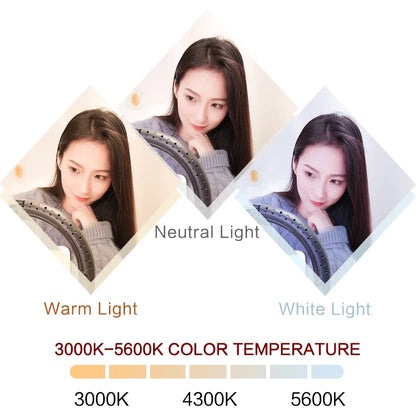 LED Ring Light - 10-Inch Tri-Color Tripod Kit