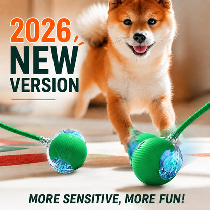 Automatic Rolling Dog Ball Launcher - Interactive Smart Toy