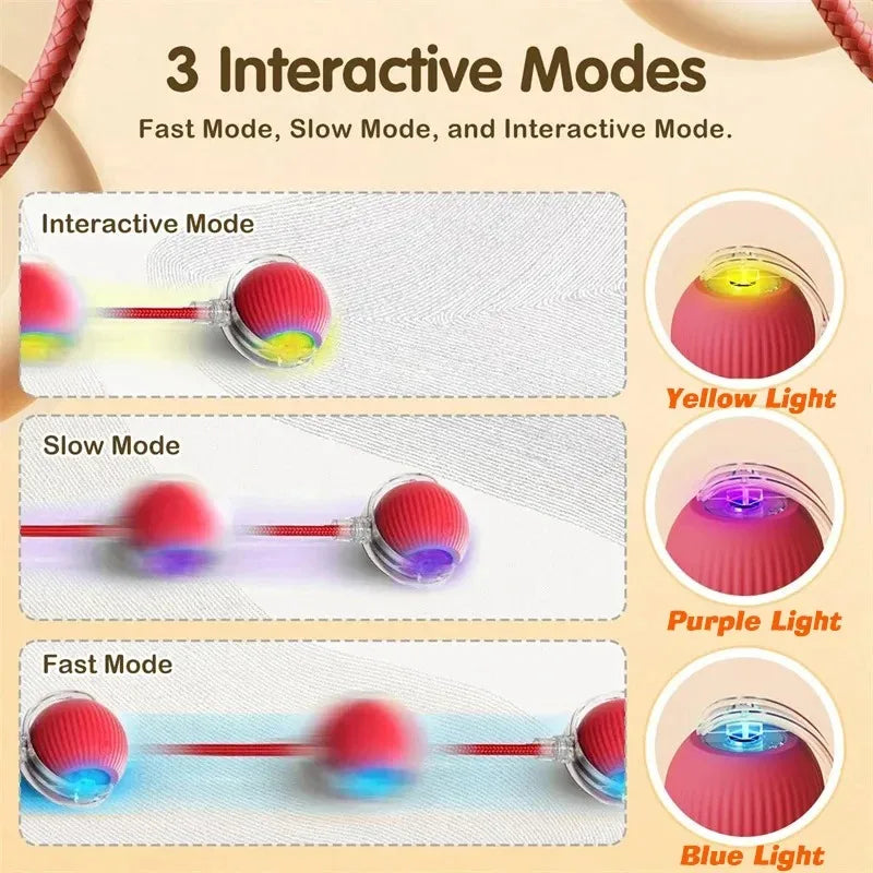 Automatic Rolling Dog Ball Launcher - Interactive Smart Toy