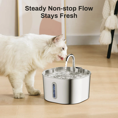 Cat Water Fountain - Stainless Steel Pet Fountain