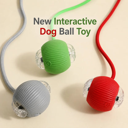 Automatic Rolling Dog Ball Launcher - Interactive Smart Toy