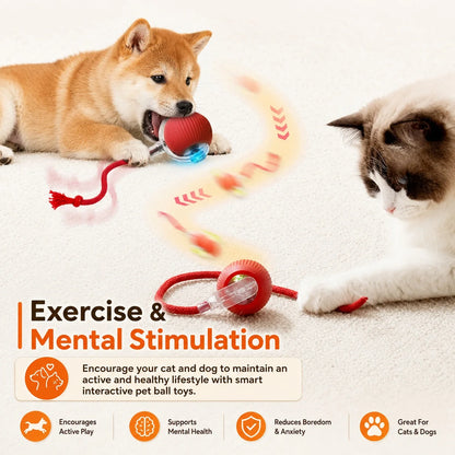 Automatic Rolling Dog Ball Launcher - Interactive Smart Toy