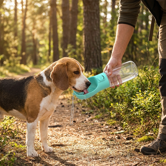 Dog water bottle feeder used outdoors on a walk